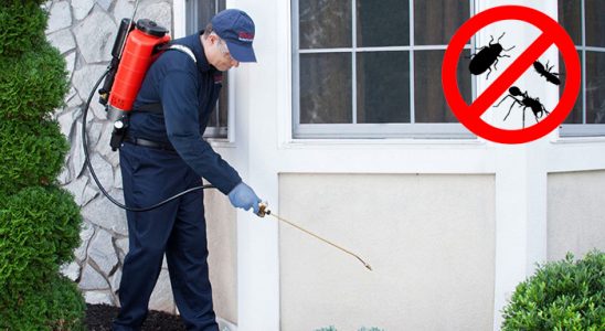 Kadışehri Fare İlaçlama böcek ilaçlama ve haşere kontrolü — ilaclama-tr.com